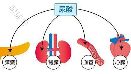 尿酸高导致痛风、心脑血管疾病，及时治疗能恢复正常吗？分析下