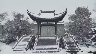 安徽颍上：尤园飞雪谩纷纷