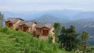 新时代中国调研行·长江篇丨这个小山村“土”里带点“潮”