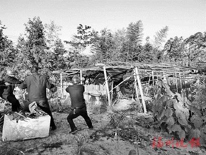 闽清出实招用实劲“两违”整治不停歇