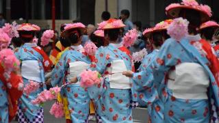 明年会火的目的地，我猜是日本的“川渝”