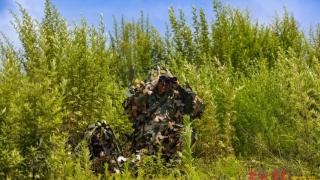 组图 | 炎炎夏日，武警官兵陌生地域开展野外驻训