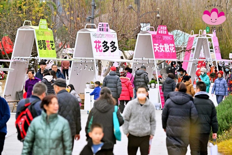 花漾蓉城万千气象2024年“二月花市年宵花会”精彩上演