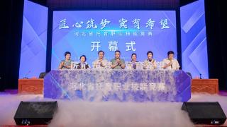 首届河北省托育职业技能竞赛在石家庄举行