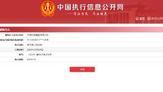 中憬科技集团有限公司被执行6920134元