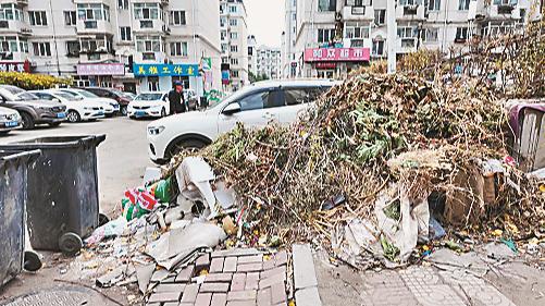 垃圾堆一个月无人清 花坛被圈占成菜园