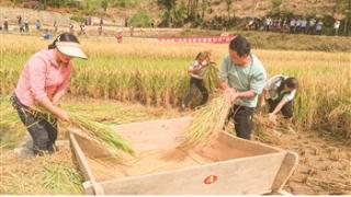 紫云自治县第一届少数民族农民丰收节活动举行