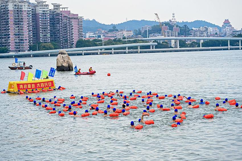 高清组图直击：千名“泳士”横渡厦鼓海峡