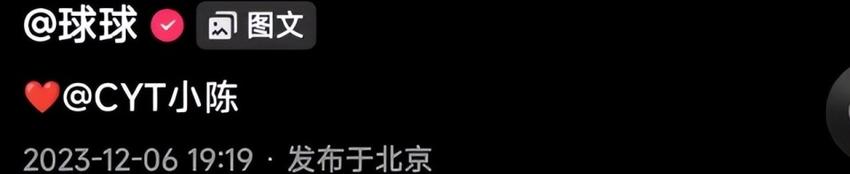 球球首晒孕肚写真照，肚大如箩似怀男婴