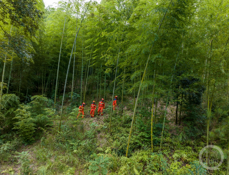 重庆南川：专业应急救援队加强森林防火巡护