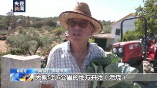 高温持续，欧洲多国发生森林火灾