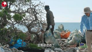 海边捡垃圾意外成“网红”！胡歌“息影”这几年，都干了些什么？