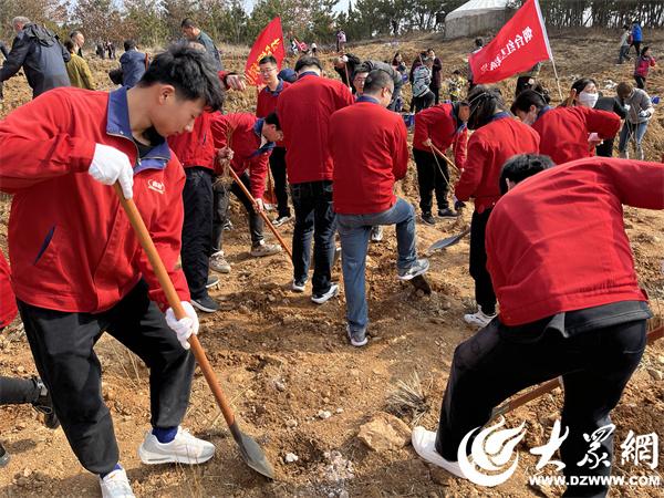 喜旺集团志愿者积极投身植树节活动 全国青年文明号展现绿色发展风采