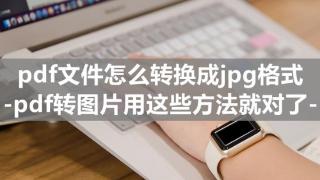 pdf怎么免费转换成jpg格式？其实方法很简单