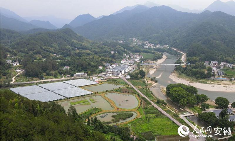 大闸蟹“横行”大别山