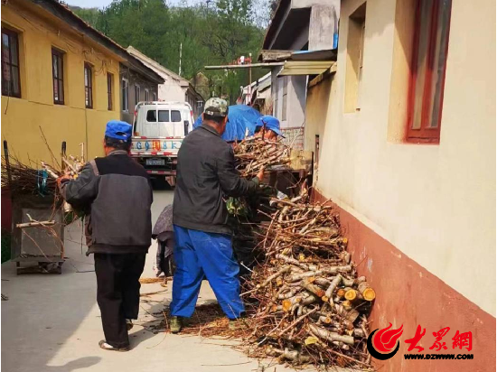 潍坊诸城：代表委员齐上阵，助力人居环境焕新颜