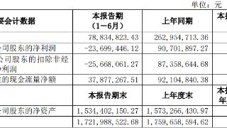 神工股份上半年转亏 2020年上市募8.7亿正拟定增3亿