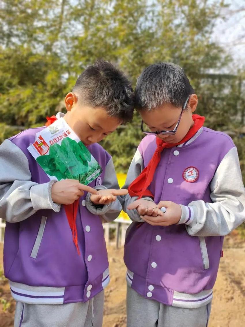 龙抬头·农耕情·劳动美——济南高新区康虹路小学春耕节活动