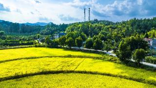 豫西伏牛山区：秋意浓 大美乡村入画来