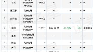 北陆药业（300016）最新董监高及相关人员股份变动情况公告