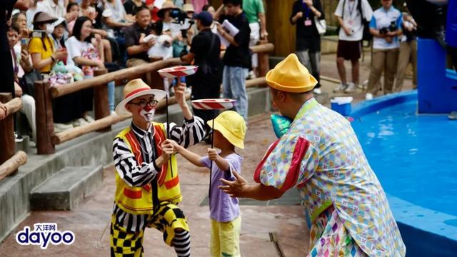 广州动物园内的“海豚家族”再次成为城市关注焦点