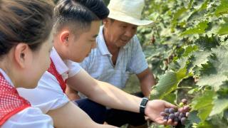 梁山农商银行用心用情浇灌“三农沃土”，助力乡村振兴