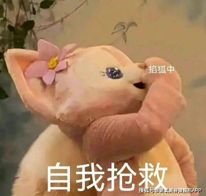 起猛了…看见她想跟前夫上恋综？