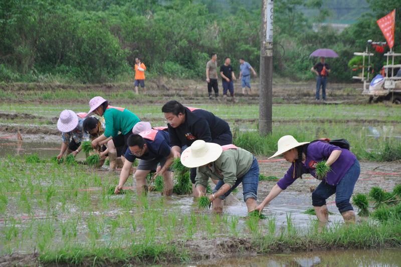 永福县举办2024年“闹春耕”活动