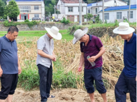 暴雨来袭，他们与村民共进退！