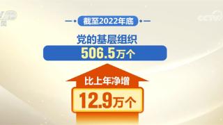 数字里看亮点 中央组织部公布最新党内统计数据