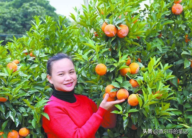 她是40岁广西妇女，从月薪3000到年入千万，开公司还上央视，为啥