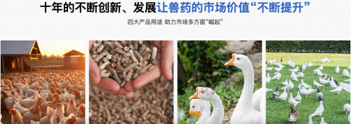 联美生物：把握兽药市场“财富钥匙”，铸就品质精品