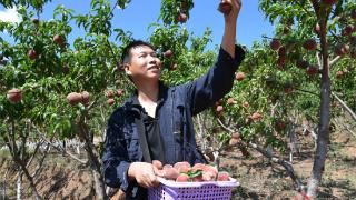 昆明晋宁区六街镇干海村举办圣姆春桃民俗文化节