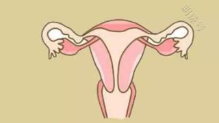 久备不孕怀疑输卵管问题，应该怎么办？