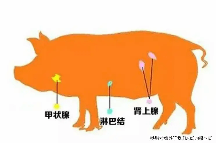 马上停止食用猪身上“4种肉”，越吃病越多，千万别拿健康开玩笑