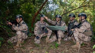 广西北海:武警特战队员开展实战化山林地反恐演练