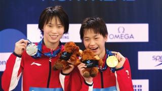 中国跳水队包揽世界杯蒙特利尔站9金