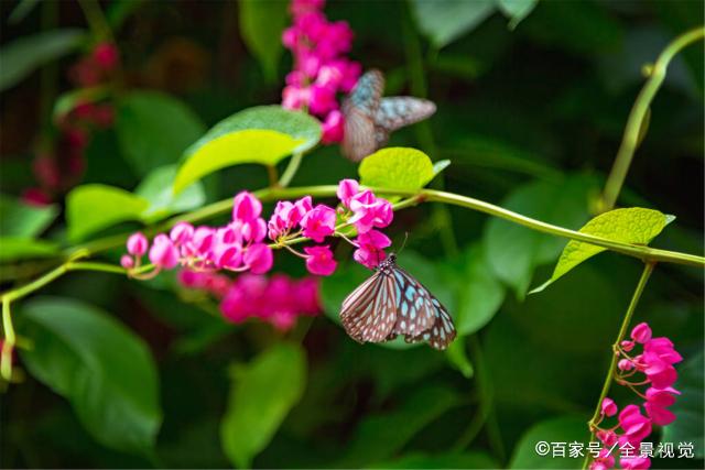 要知道子女过得好不好，从生活就可以看出来