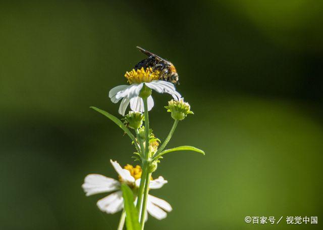 当一个人，学会“沉默”，就赢了