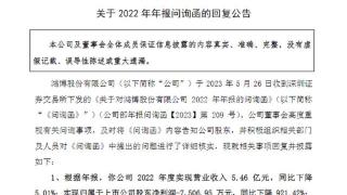 鸿博股份回应年报问询：AI创新赋能中心运营存在多风险