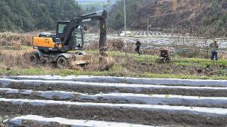 福建寨里：积极探索撂荒地治理新模式