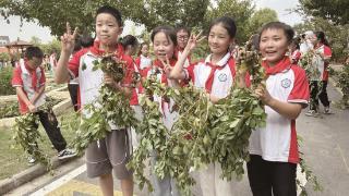 劳动教育中深学课文