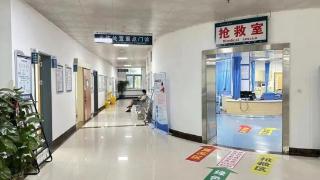 北海市人民医院接诊30多例蛇伤患者九成以上为竹叶青蛇致伤