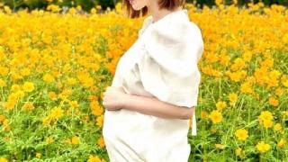 日本女演员竹内涉官宣怀孕 去年4月与白洲迅宣布结婚