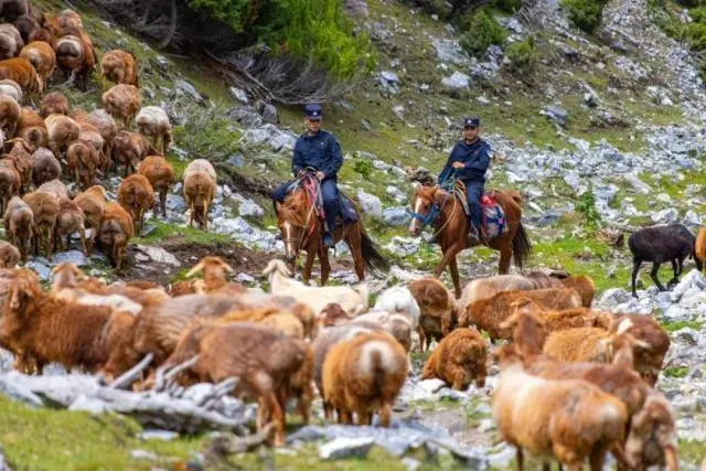 民警骑马翻山越岭，为她送录取通知书！