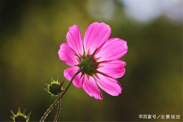 经营爱情时，女人学会“三不管”，会让男人深度爱她