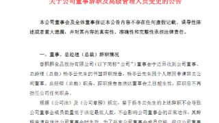 任职不到一年，香飘飘70后总裁辞职，持股市值超2亿元！董事长再“上马”