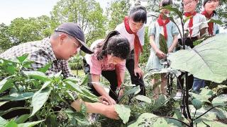 海陵：让教育绽放“幸福之花”