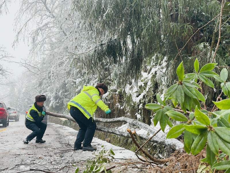 雨雪天 在一线 | 四川洪雅公安交警迎寒而上保畅通