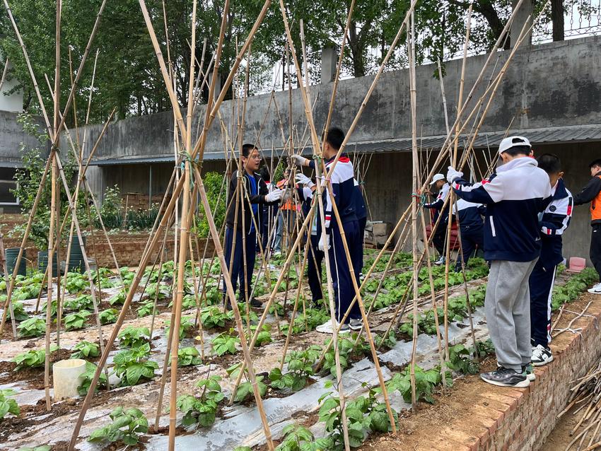 青岛大名路小学益起来研学纪实